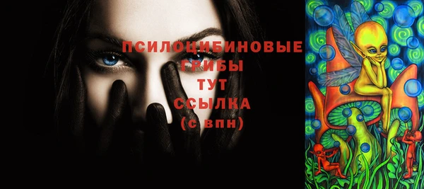 винт Богданович