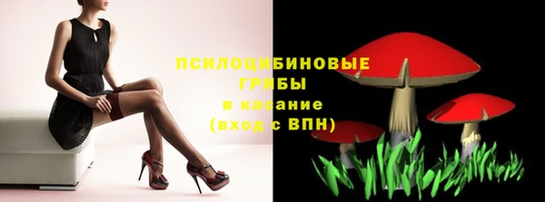 jwh Снежногорск
