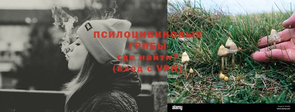 винт Богданович