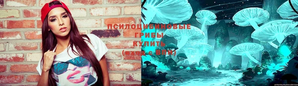 винт Богданович