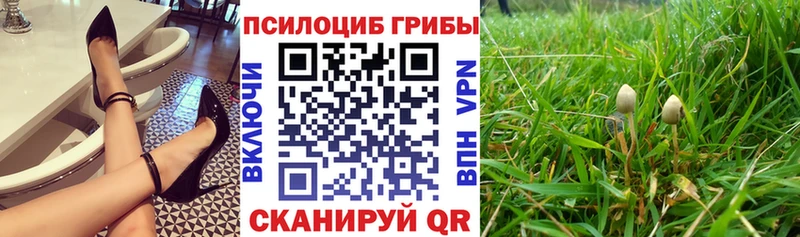 Псилоцибиновые грибы Psilocybe  Очёр 
